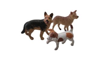 Cani cm 10/12 in terracotta