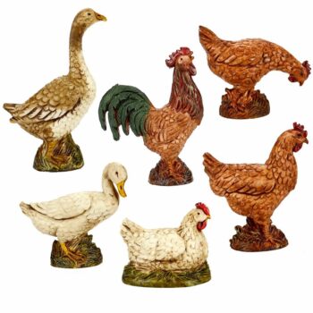 Gallinacei cm 12