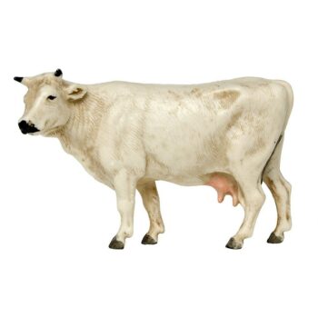 Mucca cm 8