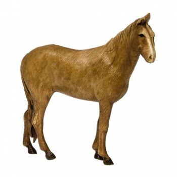 Cavallo cm 6