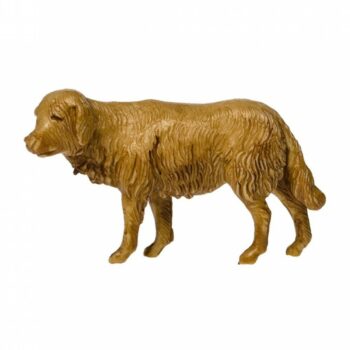 Cane cm 6
