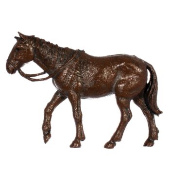 Cavallo cm 6